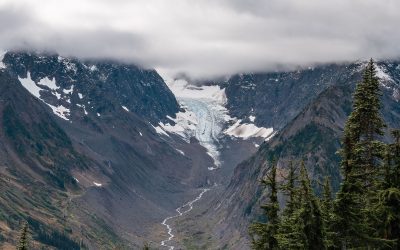 New Salmon Habitat Created By Melting Glaciers Could Be Threatened By Mining Claims, Study Finds