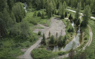 First Nation And Feds Hatch Plan To Save Sockeye