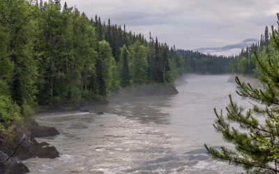 B.C. First Nation Launches Court Challenge Over LNG Plant Effect On Salmon